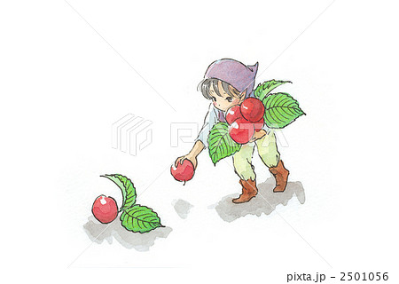 赤い実を拾う小人 2501056