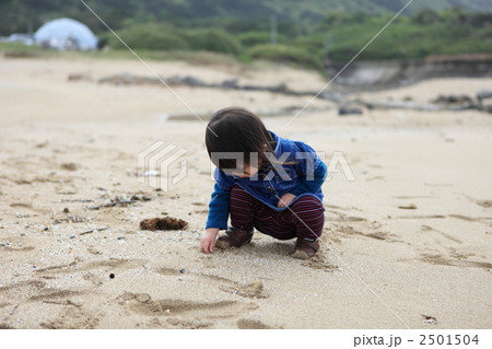 奄美の海で 2501504