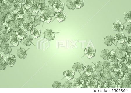 ヒューケラの背景 2502364