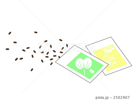 種 イラスト 植物のイラスト素材