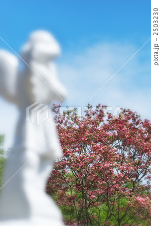 祈り 祈り 2503230