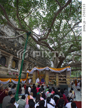ボードガヤー:マハーボーディー寺院 ボードガヤー:マハーボーディー寺院 2503233