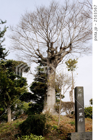 伏見一里塚 伏見一里塚 2503567