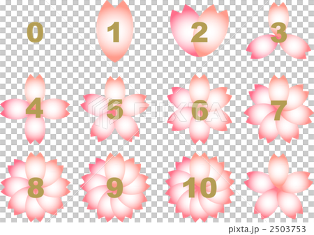 桜花びら数字 桜花びら数字 2503753