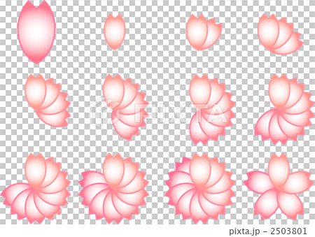 桜花びら回転 桜花びら回転 2503801