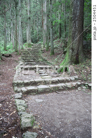鳳来寺参道 2504451