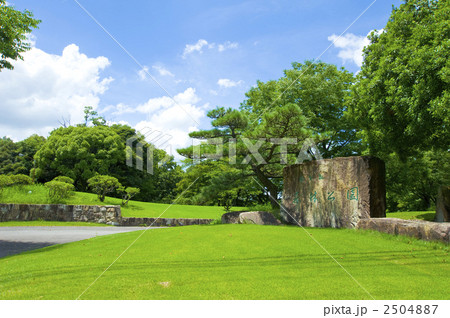 芝生と樹の森林公園 芝生と樹の森林公園 2504887