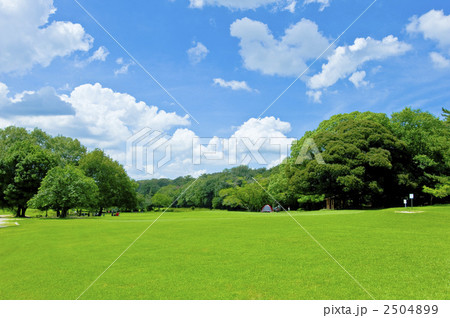 青空と新緑 青空と新緑 2504899