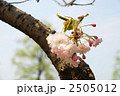 2505012