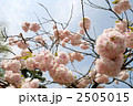 2505015
