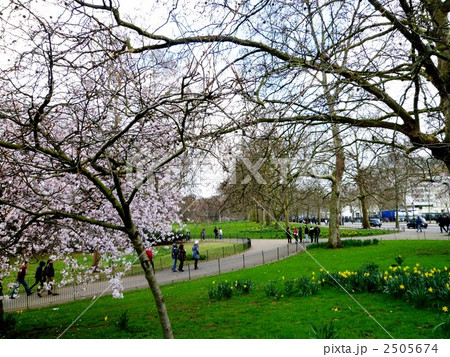ロンドン最古の公園・セント・ジェームズ・パーク ロンドン最古の公園・セント・ジェームズ・パーク 2505674