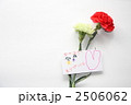 母の日　カード　カーネーション　２本　おかあさん　ありがとう　横 2506062