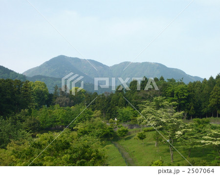 二ノ塔・三ノ塔 2507064