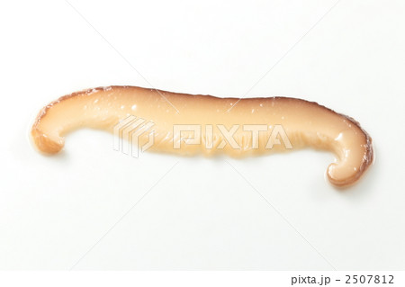 しいたけ 2507812