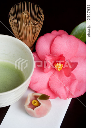 茶道 椿イメージ 茶道 椿イメージ 2507931
