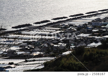 久能山からのイチゴ栽培の風景　２ 2508167