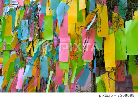 七夕飾り 七夕飾り 2509099