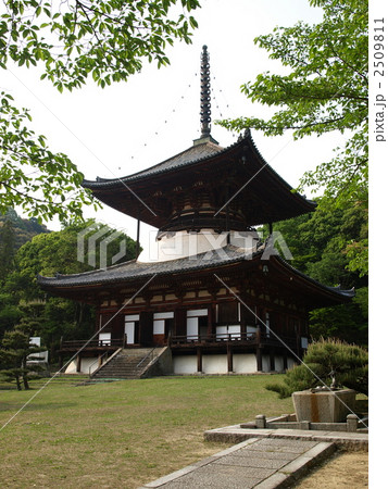 「根来寺の大塔（国宝）」 2509811