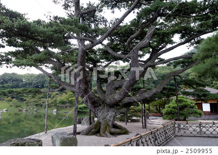 栗林公園 2509955