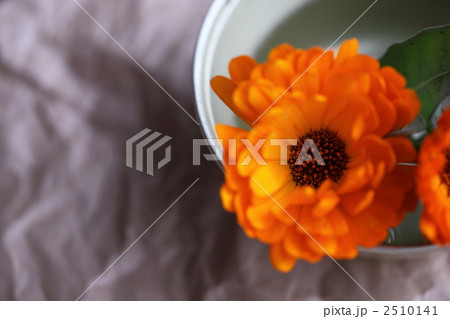 2510141