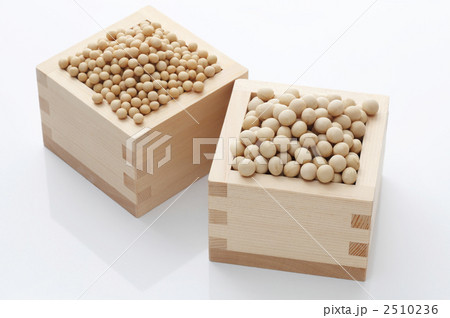 納豆用の小粒大豆と中粒大豆 2510236