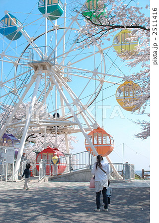 千手山公園の桜と観覧車 2511416