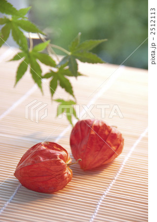 すだれにホオズキと緑の葉 2512113