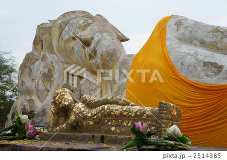 ワットロカヤスタ 2514385