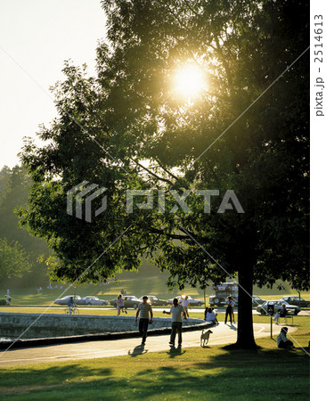 バンクーバーのスタンレーパーク バンクーバーのスタンレーパーク 2514613