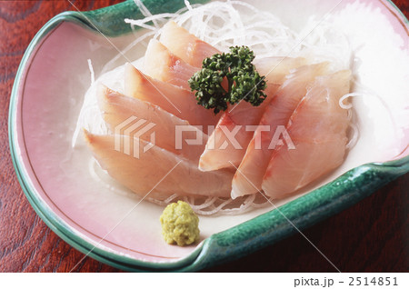 鯛 2514851
