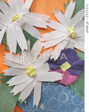 マーガレット 2515251