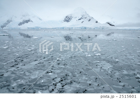 フォインハーバーの晶氷 2515601