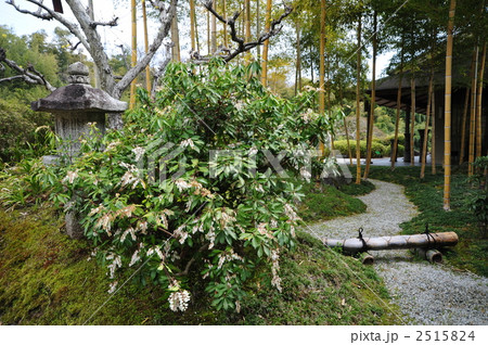 京都　竹林公園の庭園 2515824