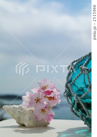 桜と海 桜と海 2515966