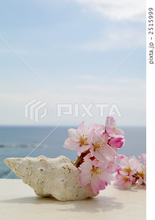 桜と海 2515999