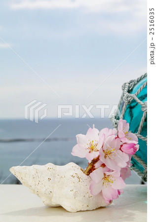 桜と海 桜と海 2516035