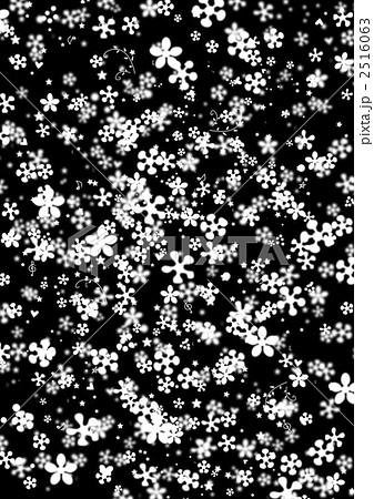 2516063