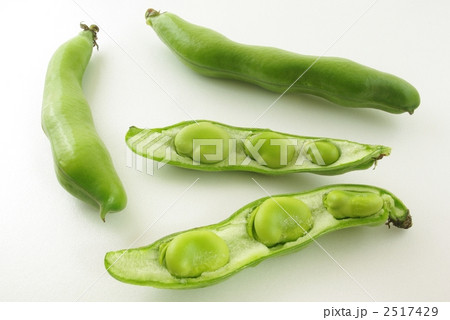 そらまめ 2517429