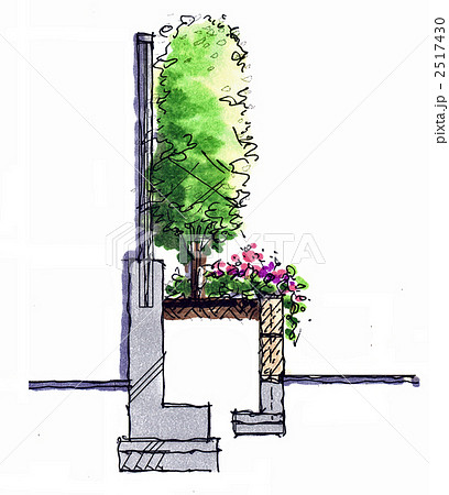 生垣の断面スケッチ 生垣の断面スケッチ 2517430