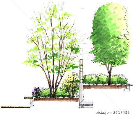 中庭の断面スケッチ 中庭の断面スケッチ 2517432