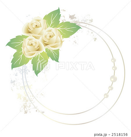 白バラ 花 薔薇のイラスト素材