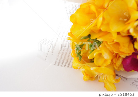 フリージア フリージア 2518453