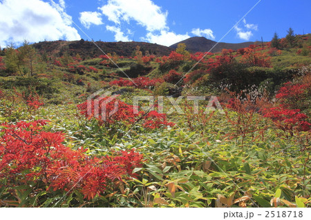 草津白根山の紅葉 2518718