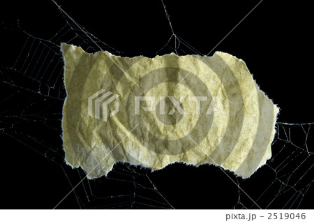 蜘蛛の糸と紙切れ 2519046