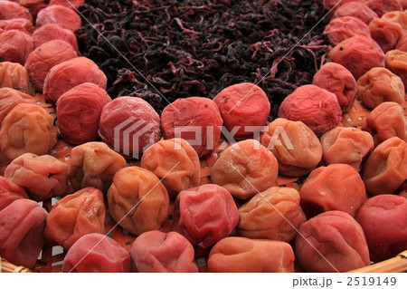 土用干し 2519149