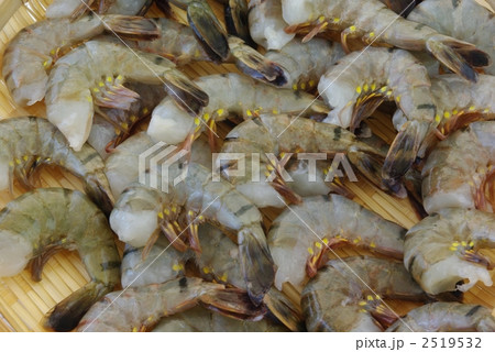 海老 2519532