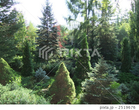 真鍋庭園の森 2519676