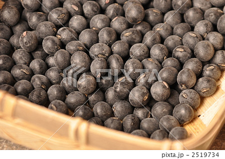 篠山産の黒豆 篠山産の黒豆 2519734