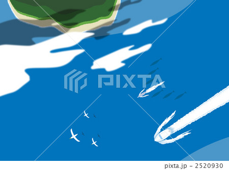 イルカとカモメと一緒にクルージング イルカとカモメと一緒にクルージング 2520930