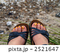 2521647